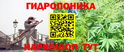 PSILOCYBIN Мариинск