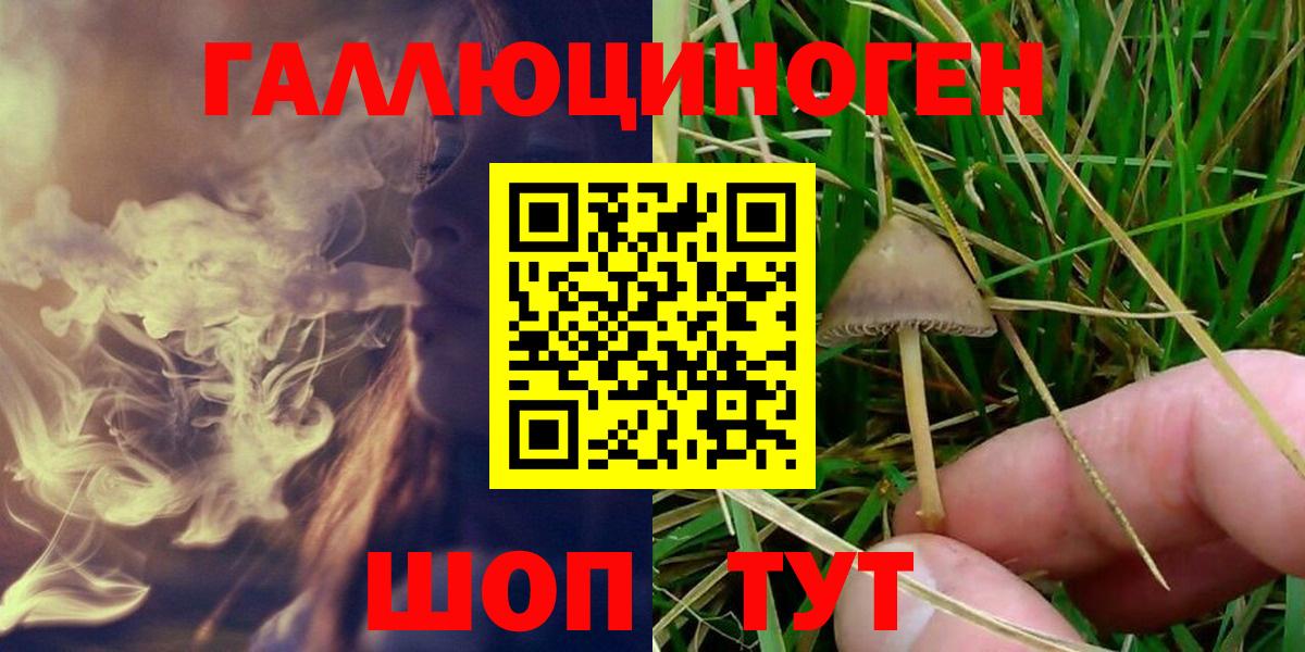 Псилоцибиновые грибы мицелий Канск