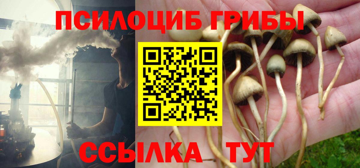 Галлюциногенные грибы прущие грибы  Псилоцибиновые грибы Psilocybine cubensis  Канск  Вход с VPN 